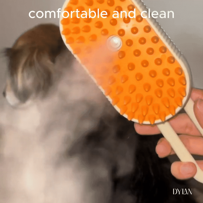 STEAM BRUSH PETS