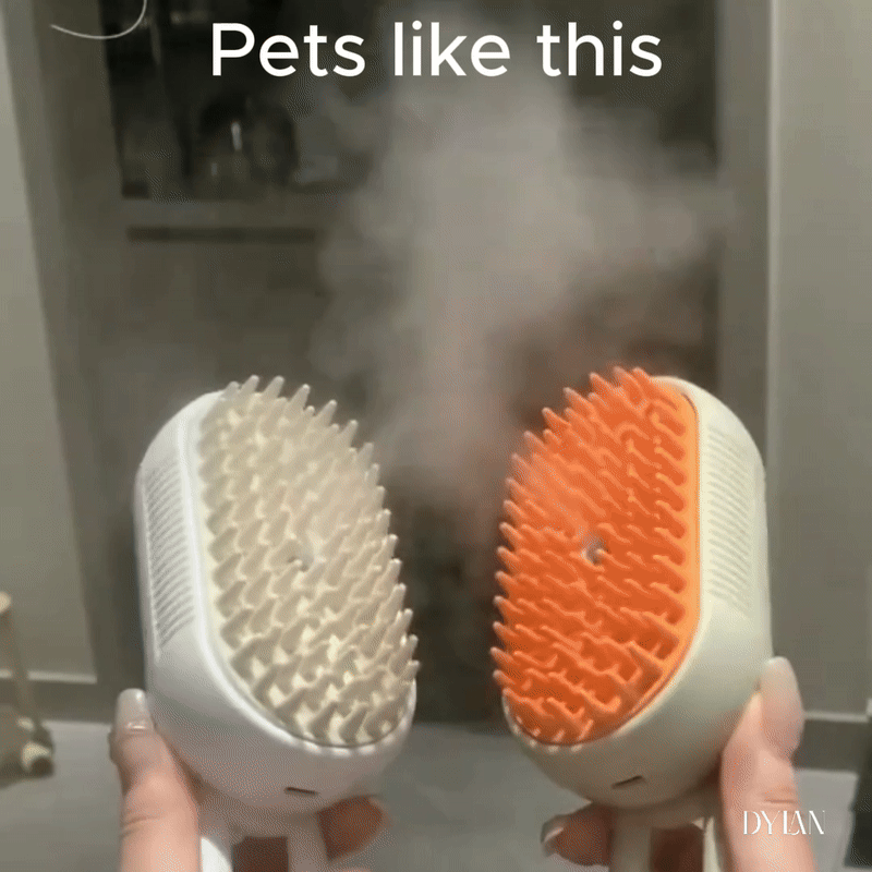 STEAM BRUSH PETS